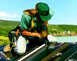 
Installer training courses offered through professional organizations, community colleges and universities can prepare you for a satisfying career in renewable energy.
